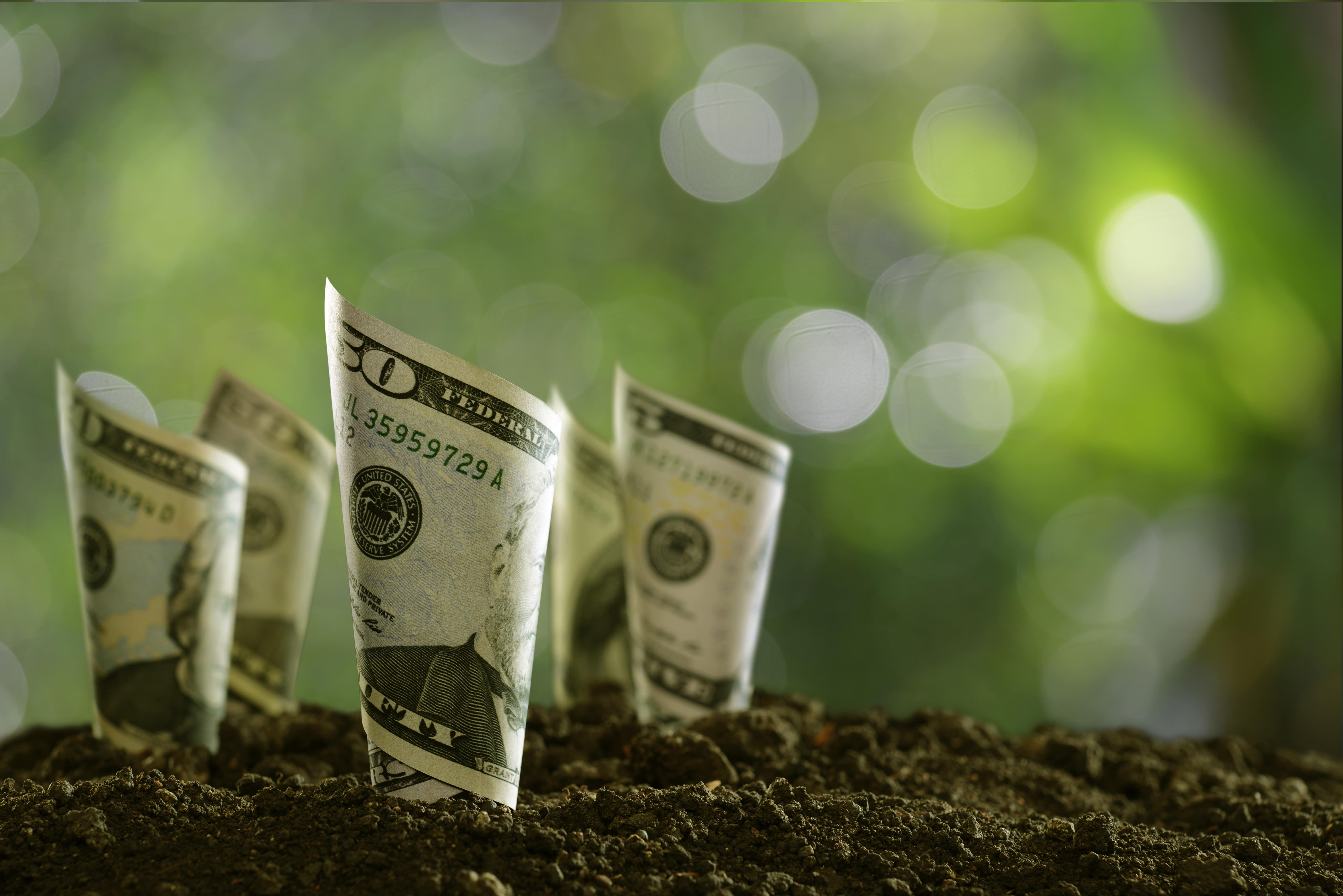 rolled-bank-notes-on-soil-2025-01-09-01-08-29-utc-min