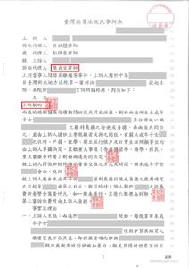 對方上訴單獨監護權，成功駁回